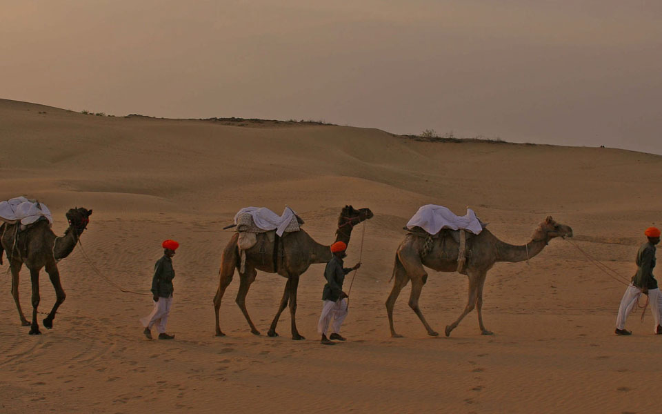 Rajasthan Tour Packages